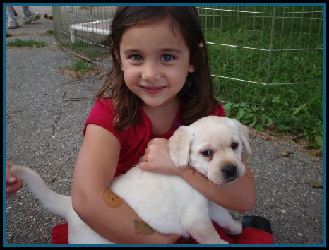 male pup being held